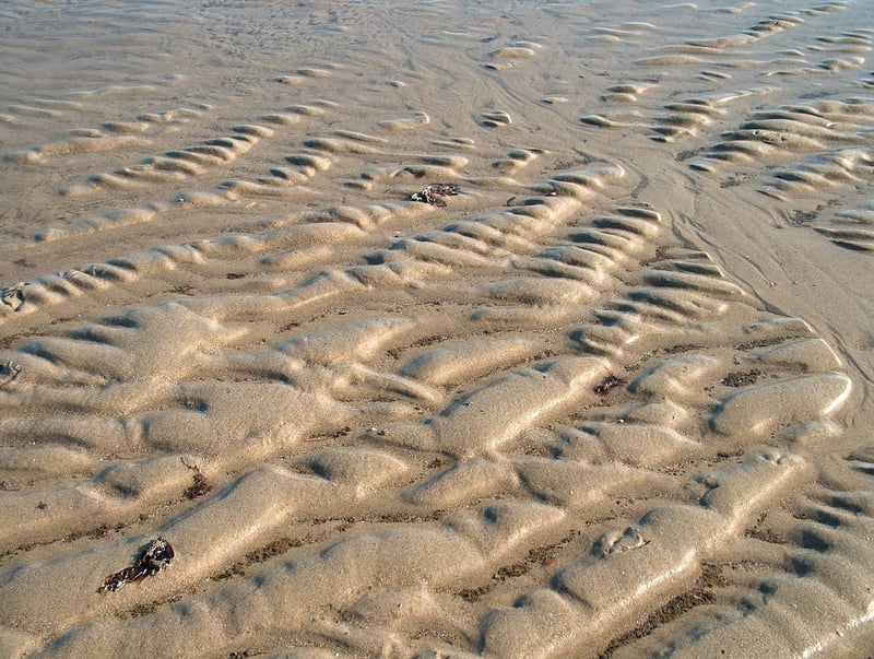 Privacy Policy Image 2